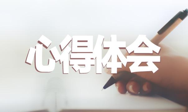 2023最新會計頂崗實習心得體會 會計頂崗實訓心得體會3000字