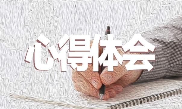 學(xué)校教學(xué)工作實習(xí)心得體會范文模板 教學(xué)工作實踐總結(jié)