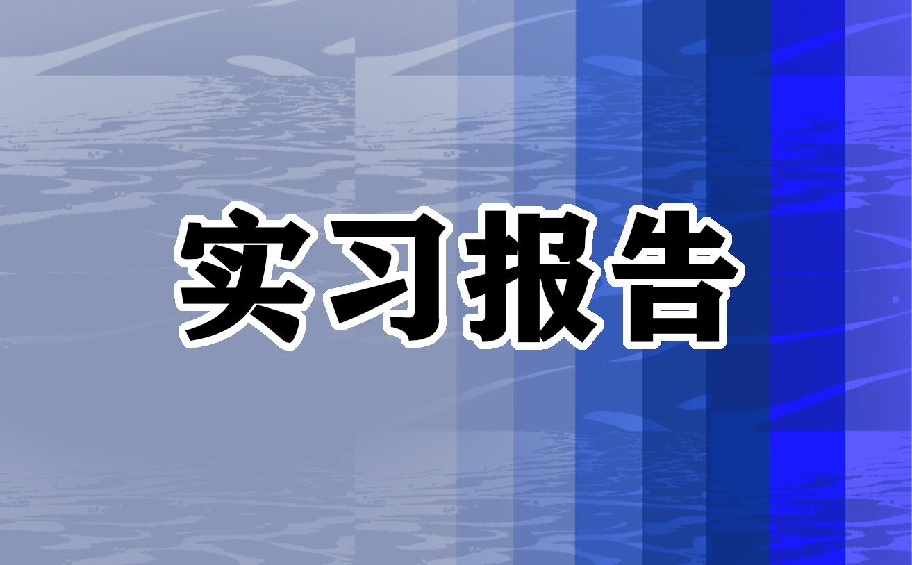 實習總結300