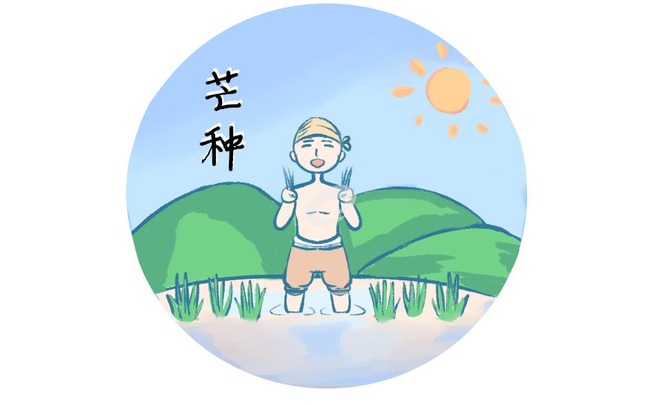 芒種節(jié)氣的由來和特征