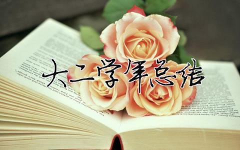 大二學年總結 19篇