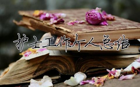護(hù)士工作個(gè)人總結(jié) 30篇