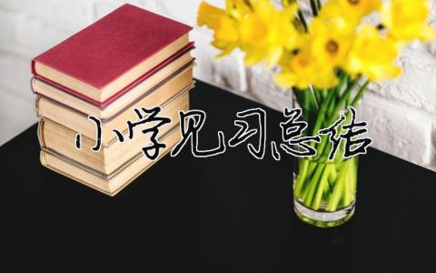 小學見習總結 15篇