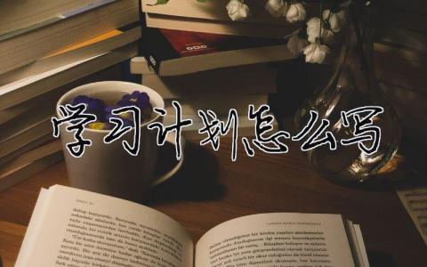 學習計劃怎么寫？學習計劃范文模板優選13篇