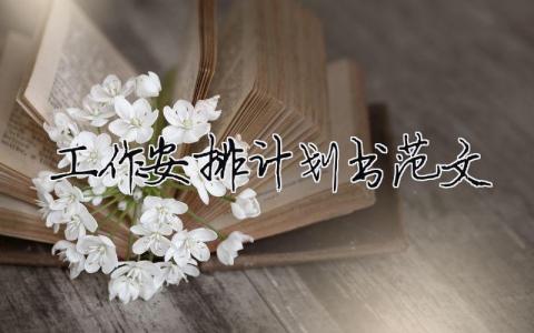 工作安排計劃書范文 18篇