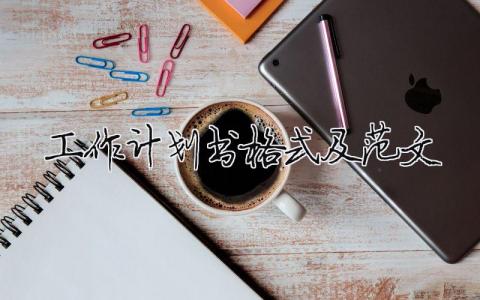 工作計(jì)劃書(shū)格式及范文 12篇