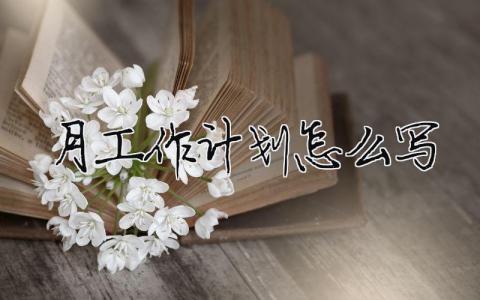 月工作計劃怎么寫范文大全 13篇