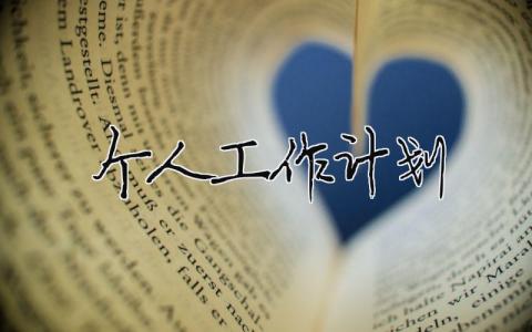 個(gè)人工作計(jì)劃標(biāo)準(zhǔn)范文大全30篇