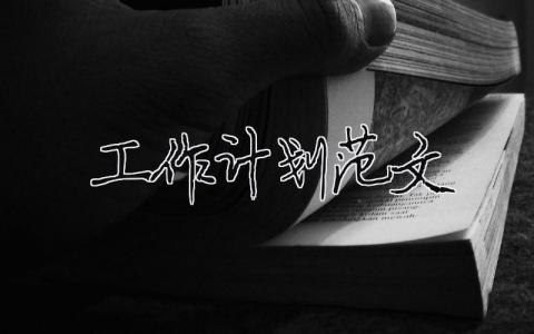 工作計(jì)劃書(shū)怎么寫(xiě)范文大全30篇