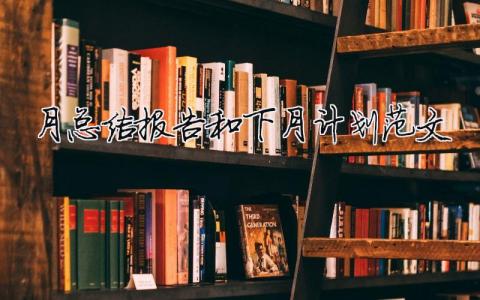 月總結報告和下月計劃范文月工作總結和下月計劃表12篇