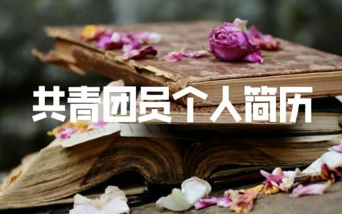 共青團員個人簡歷模板怎么寫？