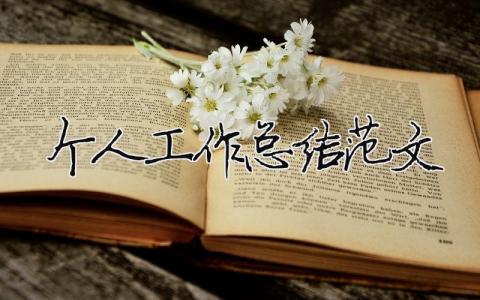 個人工作總結范文（精選合集20篇）