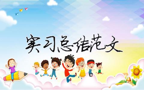 實習總結范文（精選合集16篇）