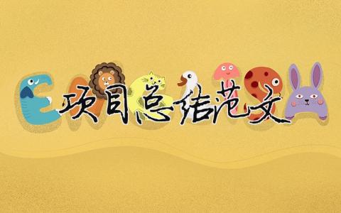 項目總結范文（精選合集17篇）