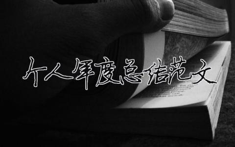 個人年度總結范文（精選合集16篇）