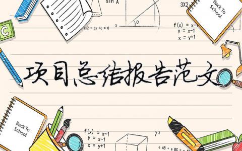 項目總結報告范文（精選合集11篇）