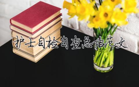 護士自檢自查總結范文（精選合集9篇）