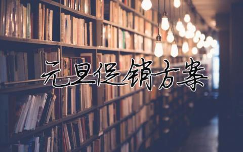 元旦促銷方案（精選合集10篇）