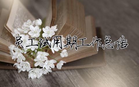 員工試用期工作總結（精選合集15篇）