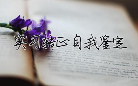 實(shí)習(xí)轉(zhuǎn)正自我鑒定（精選合集9篇）