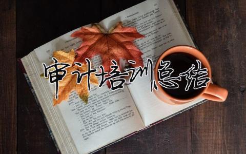 審計培訓總結（精選合集14篇）