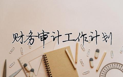 財務(wù)審計工作計劃（精選合集14篇）