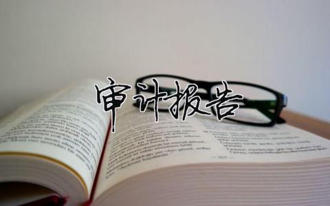 審計報告（精選合集7篇）