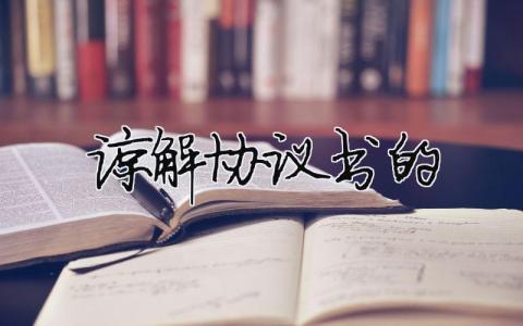 諒解協(xié)議書(shū)的（精選合集16篇）