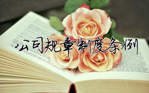 公司規章制度條例（精選合集14篇）