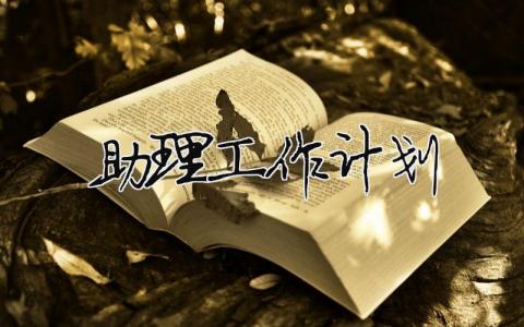 助理工作計劃 助理工作計劃表格模版（精選合集11篇）