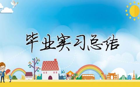 畢業實習總結 大學生實習報告（精選合集17篇）