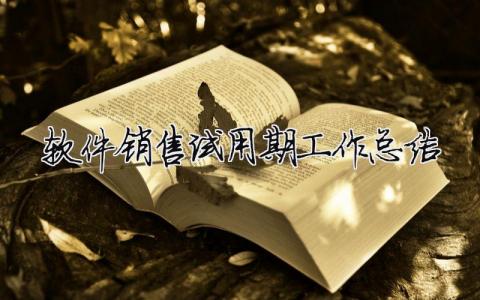 軟件銷售試用期工作總結(jié) 軟件開(kāi)發(fā)試用期總結(jié)（精選合集5篇）