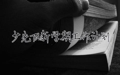 少先隊新學期工作計劃 2021少先隊新學期工作計劃（精選合集10篇）