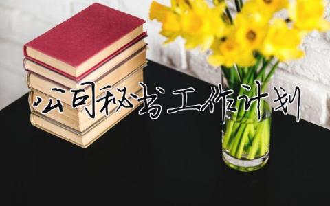 公司秘書工作計(jì)劃 公司秘書工作計(jì)劃（精選合集13篇）