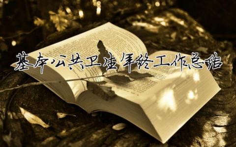 基本公共衛生年終工作總結 基本公共衛生全年工作總結（精選合集11篇）
