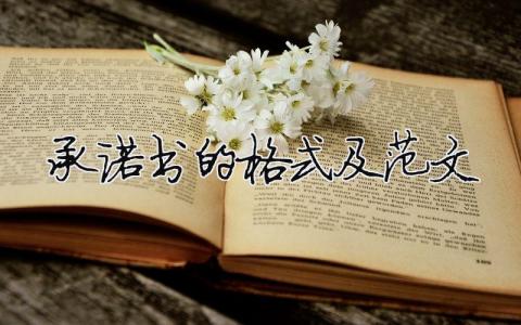 承諾書的格式及范文 承諾書格式怎么寫有效（精選合集7篇）