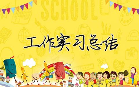 工作實習(xí)總結(jié) 實習(xí)期工作總結(jié)（精選合集19篇）
