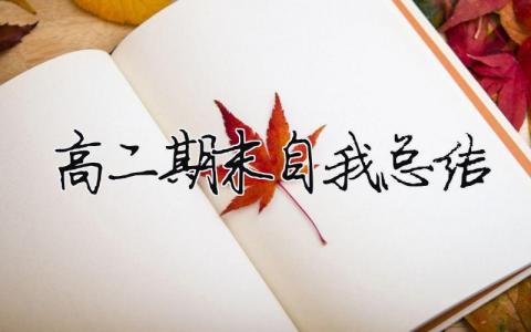 高二期末自我總結(jié) 高二期末自我總結(jié)500字（精選合集13篇）