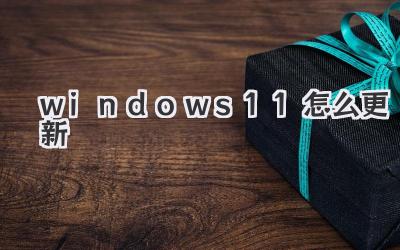 windows 11怎么更新