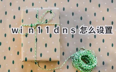 win11dns怎么設(shè)置