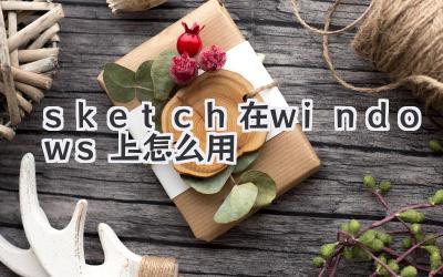 sketch在windows上怎么用