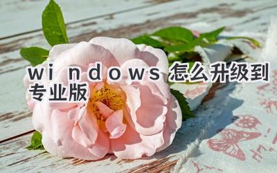 windows怎么升級到專業版