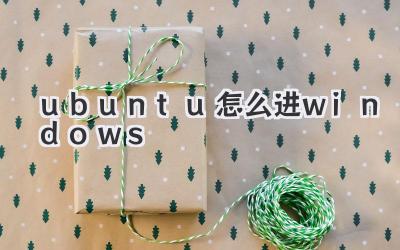 ubuntu怎么進windows