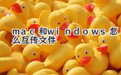 mac和windows怎么互傳文件