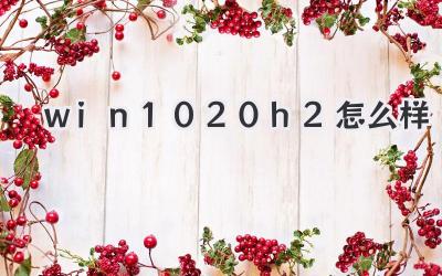 win1020h2怎么樣