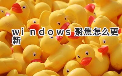 windows聚焦怎么更新
