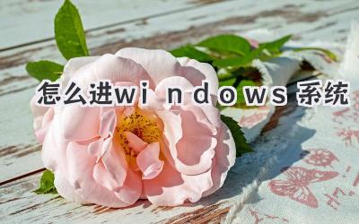 怎么進(jìn)windows系統(tǒng)