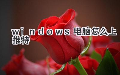 windows電腦怎么上推特