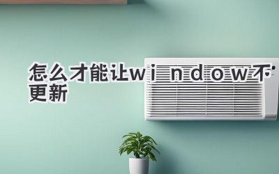 怎么才能讓window不更新