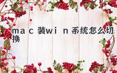 mac裝win系統(tǒng)怎么切換